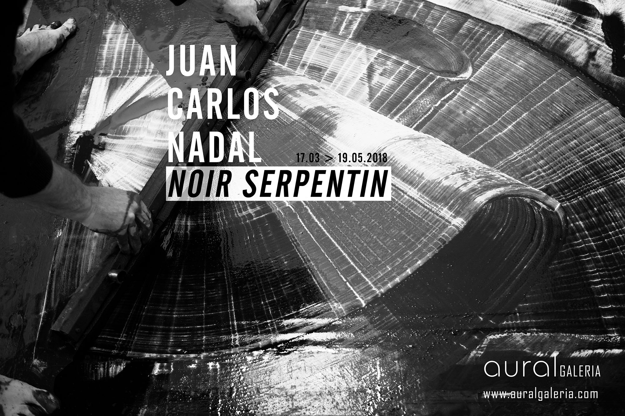 Juan Carlos Nadal_Noir Serpentin_