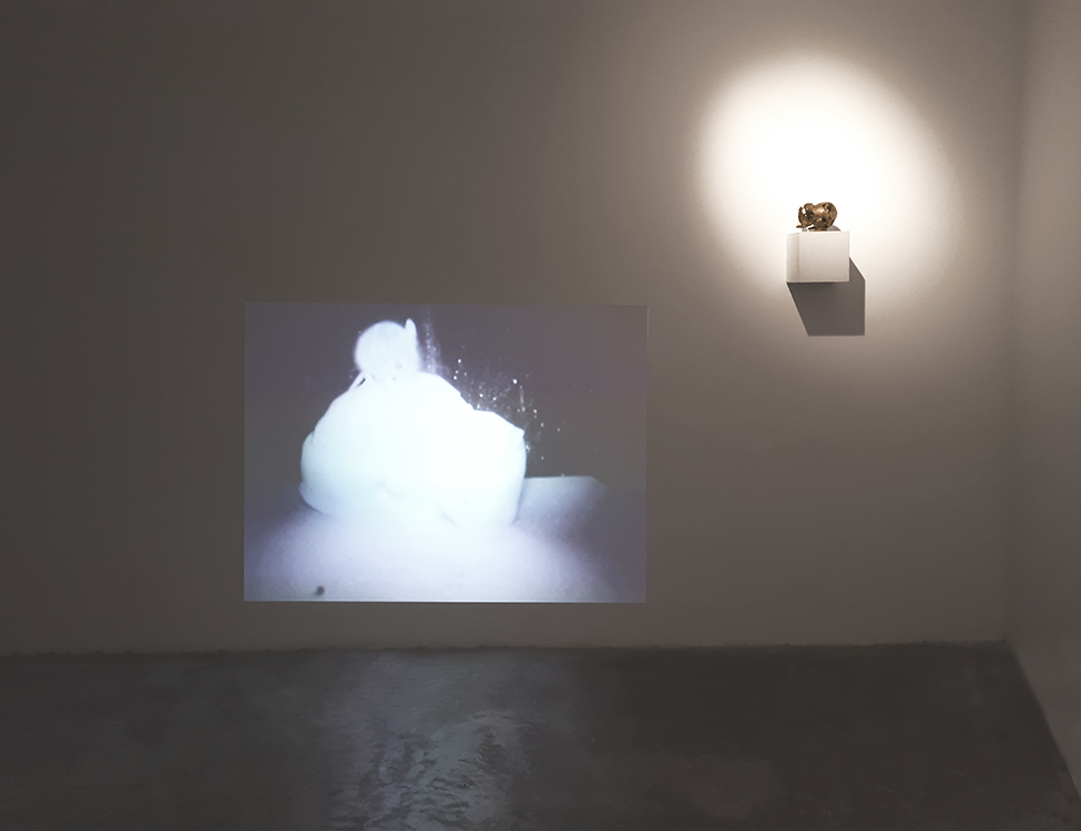 Judith Egger_Maus isst Maus, 2011 Video installation